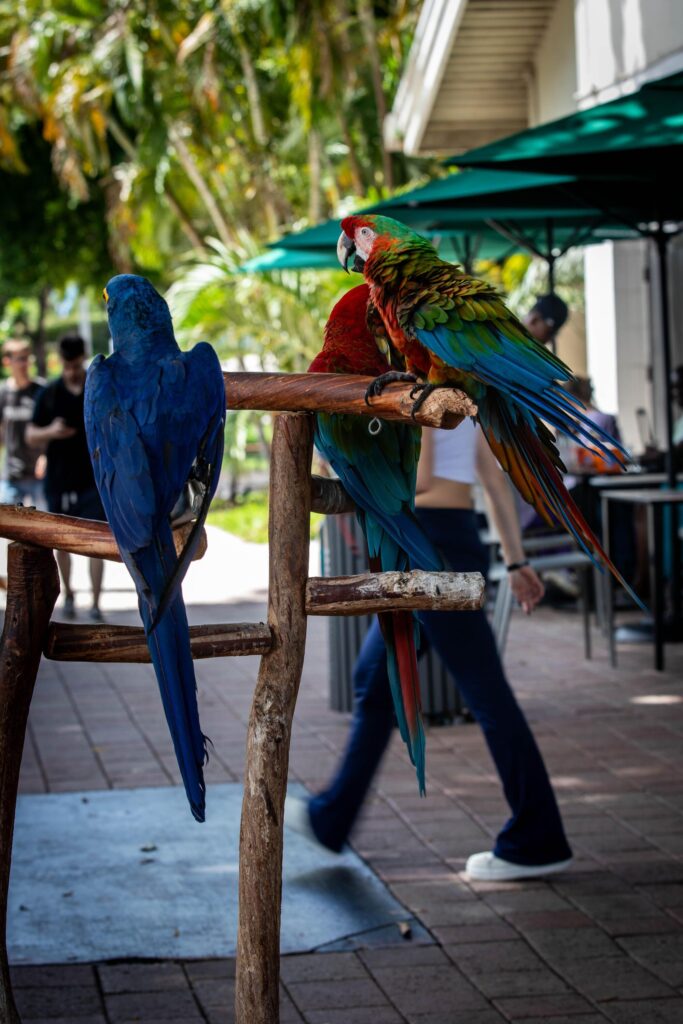 Madison Ave Magazine