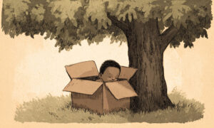 From a Cardboard Box to the Runway