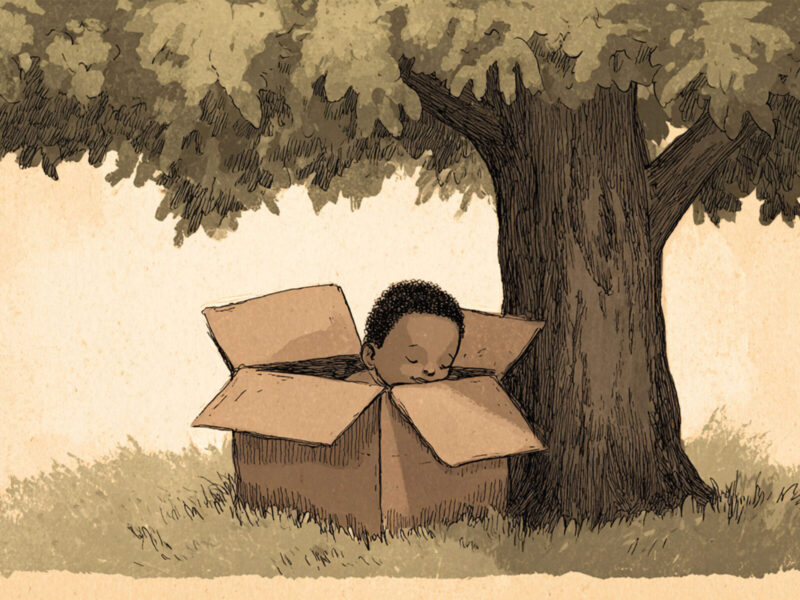 From a Cardboard Box to the Runway